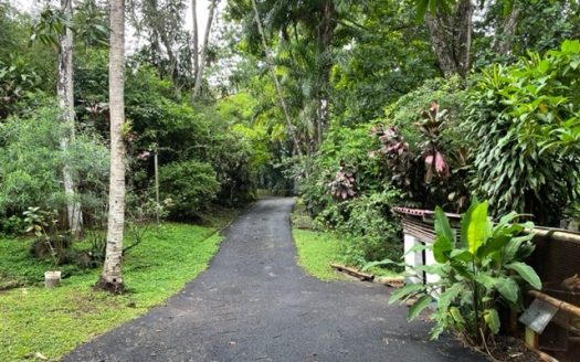 Modern build with large pool, 2 guest homes and ranchos