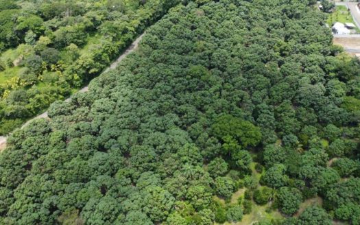 1,000m2 with fruit trees ideal for future home plot.