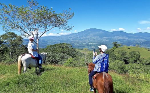 Turrialba Dream Haven Farm