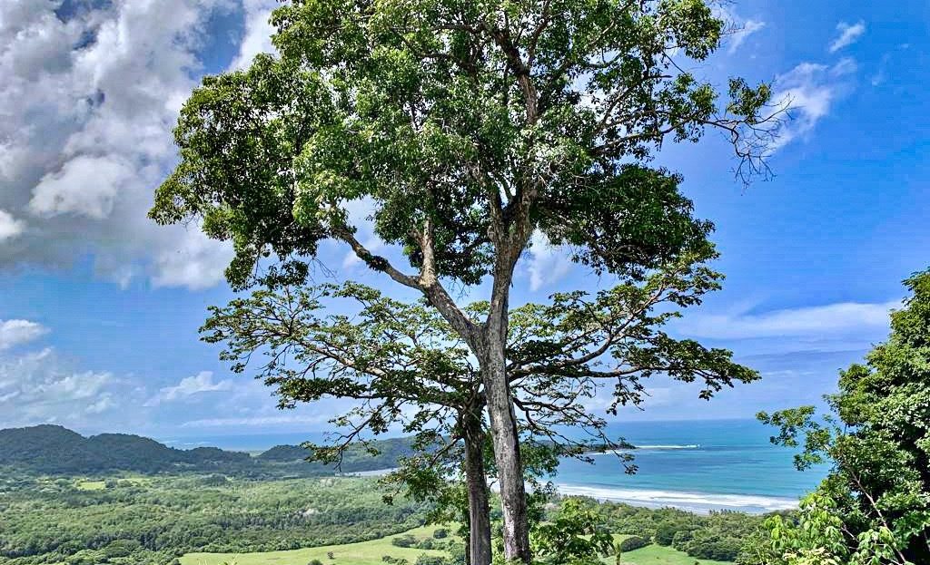 Coyote-  Guanacaste Development Ocean View Dream Lot