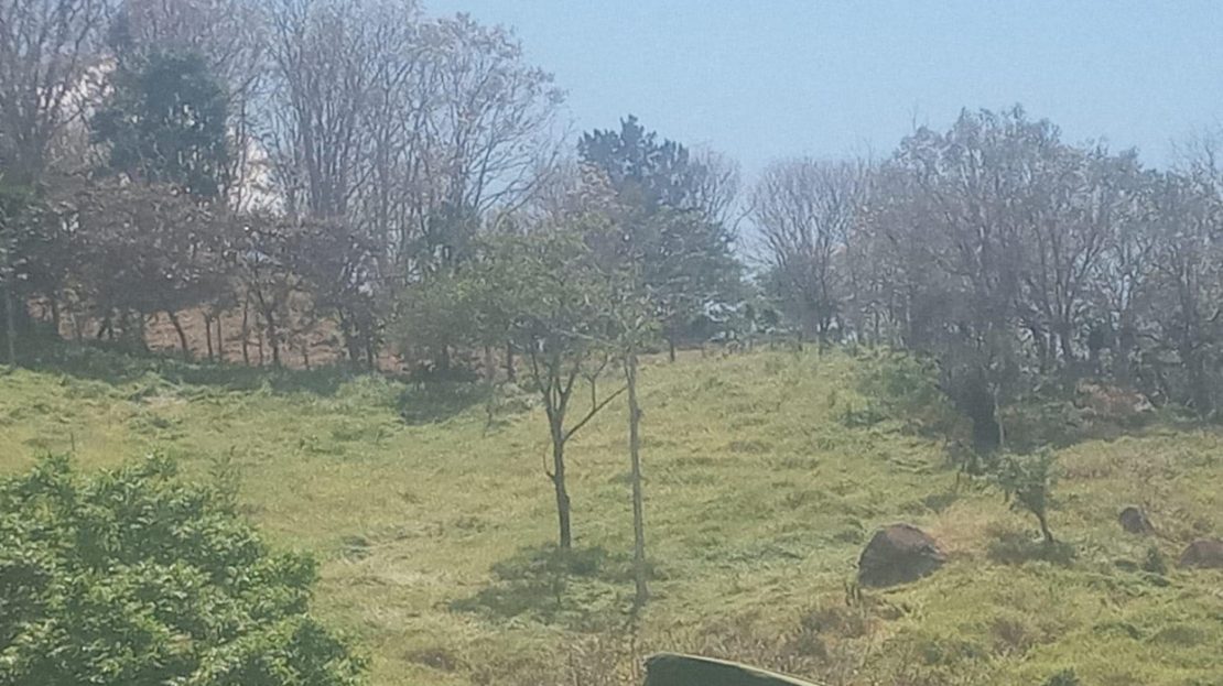 Costa Rica Real Estate