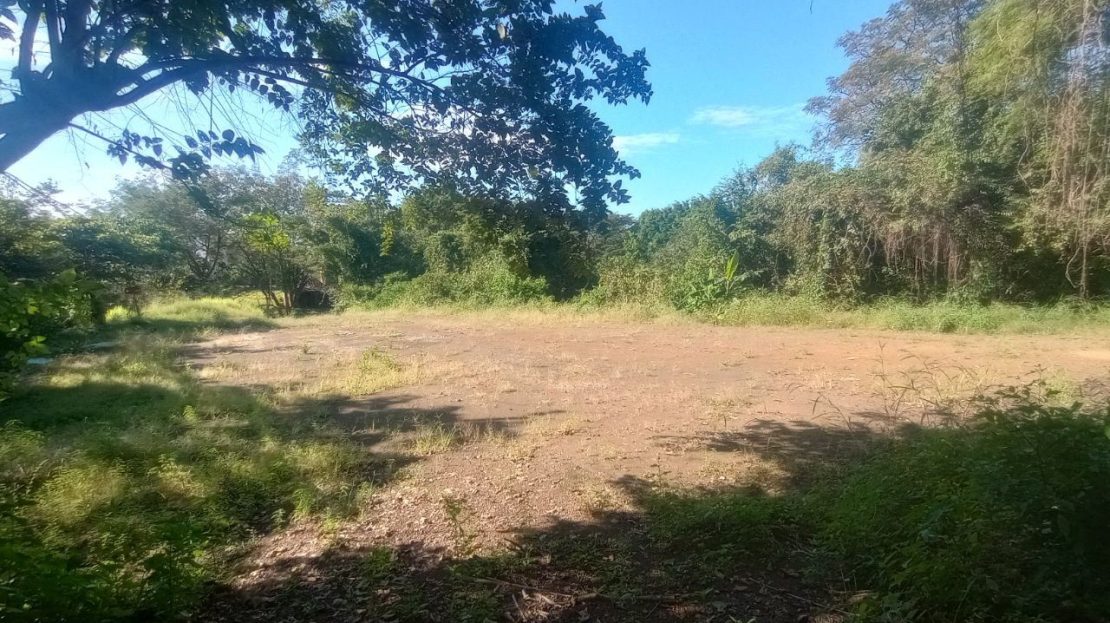 1.1ha Ocean View Lot near San Miguel Beach – Build Your Dream Home in a Blue Zone Paradise