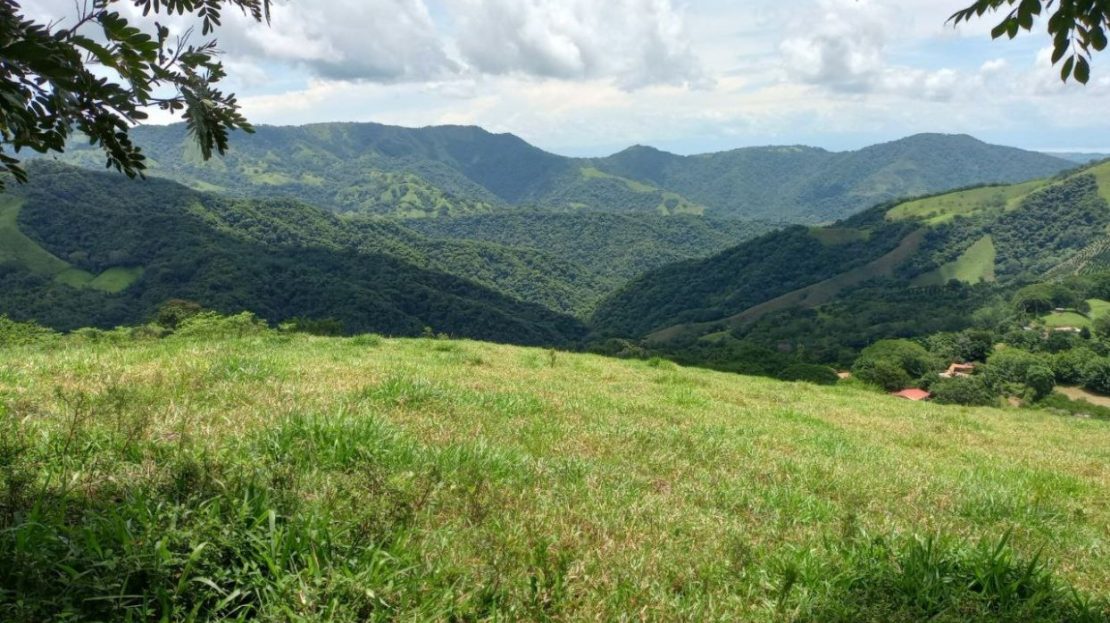 10ha (24-acre) Ocean View Farm with Fruit Trees – Nicoya Peninsula