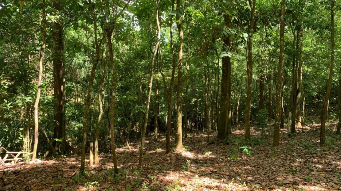 Costa Rica Real Estate