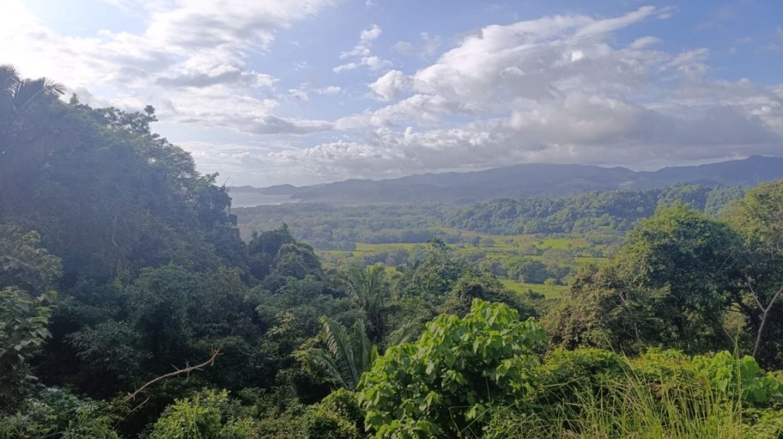 Costa Rica Real Estate