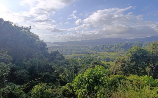 2.2ha Property with Camper & Panoramic Pacific Views Just Minutes from the Beach