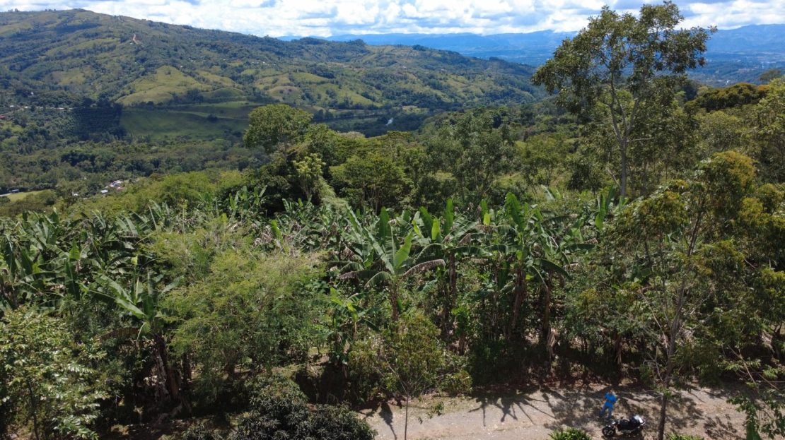 Land For Sale In La Fila