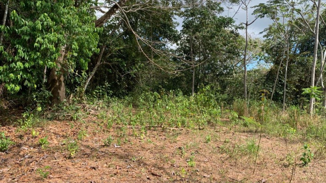 5ha Property with Waterfalls