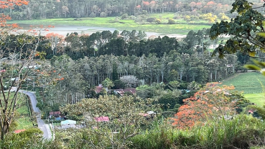 bordered street. Paradise of Cartago