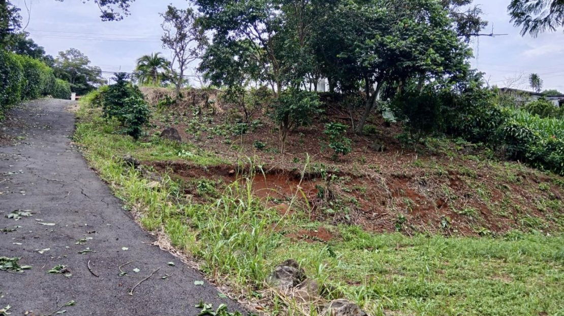 Property surrounded by nature while still having access to essential amenities