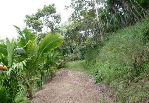 Beautiful lot with cabin in Atenas