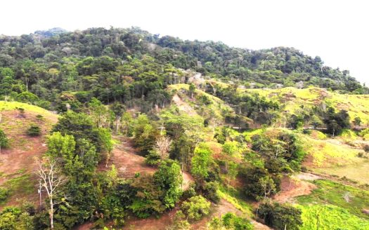 Stunning Tropical Farm with Development Potential in Costa Rica – Finca Paraiso