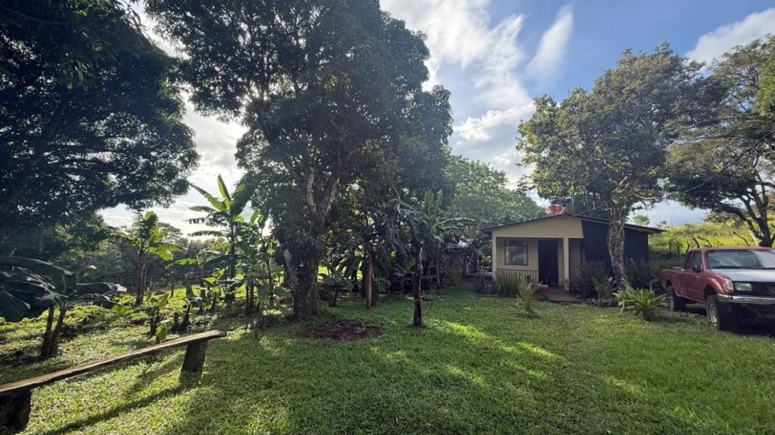 Farm –Nueva Guatemala