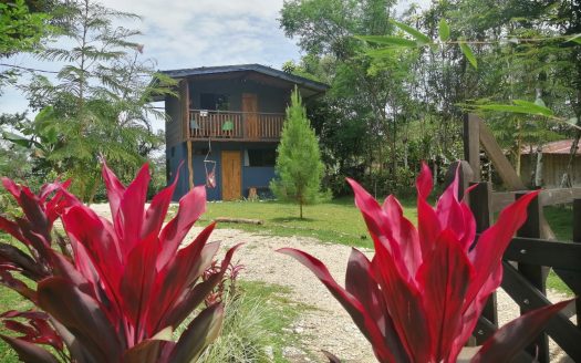 Beautiful Home with Guest Cabin in San Vito, Puntarenas– Price Reduced!