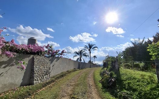 Coto Brus>San Vito Real Estate Listings 30269