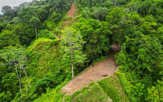 1.5 Hectares Levelled Lots with Oceanview