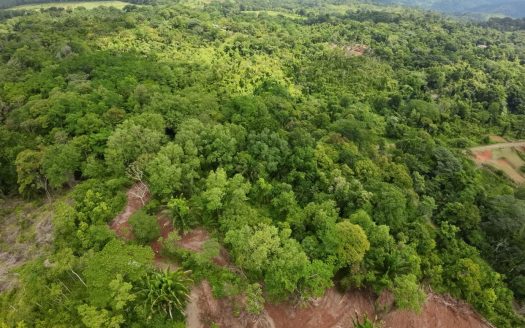 Country Property for sale