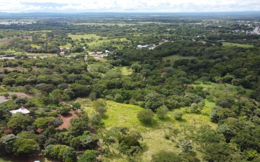 Quinta del Llano de Cañas – Nature, Investment, and Development in Cañas, Guanacaste