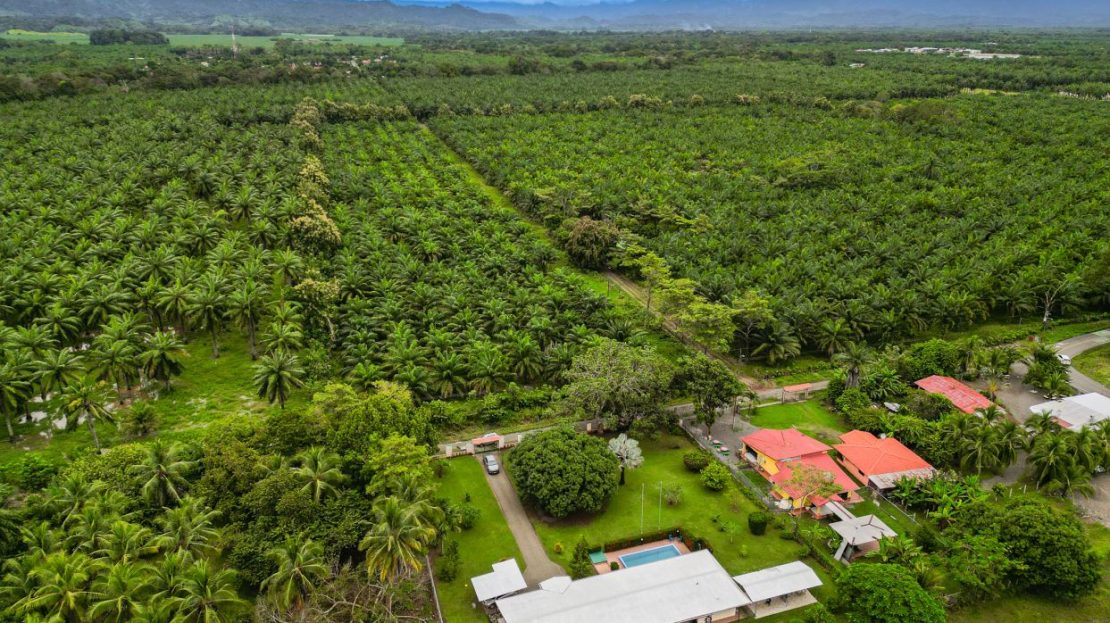 Gorgeous Coastal Estate 4 Bed / 3 Bath / 2 Kitchen / 1 Pool - Turnkey Paradise Near the Beach