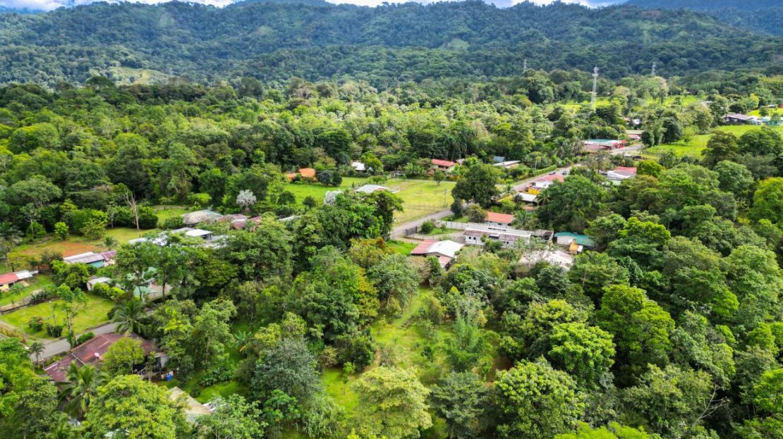 Flowing River& Over 40 Tropical Fruit Trees near Manuel Antonio
