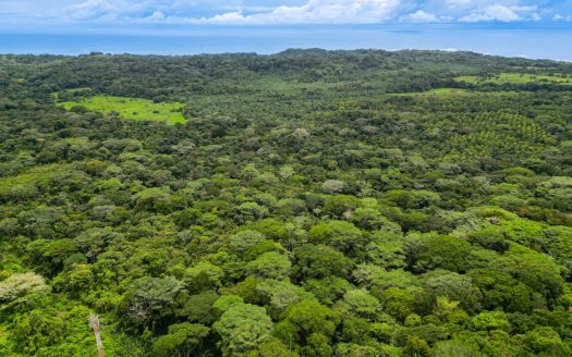 40.1 Hectares of Land in Esterillos Beach – 800 metres opening to the Costanera Highway (Seller Financing)