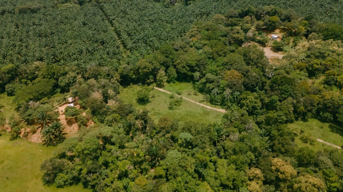 Own 2 Hectares of your peace of paradise only 17 minutes from Marina Pez Vela!