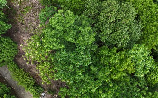 Beautiful Land for Sale in a gated community