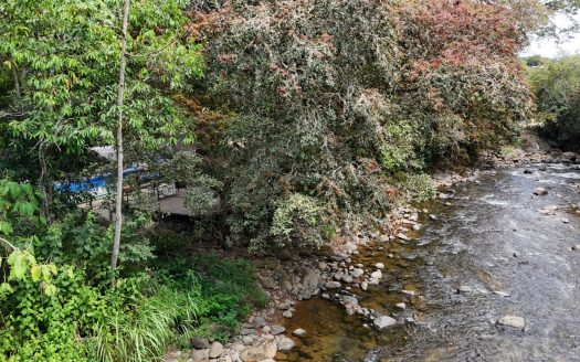 Income-producing event center with 2 homes, a restaurant & event space – endless potential