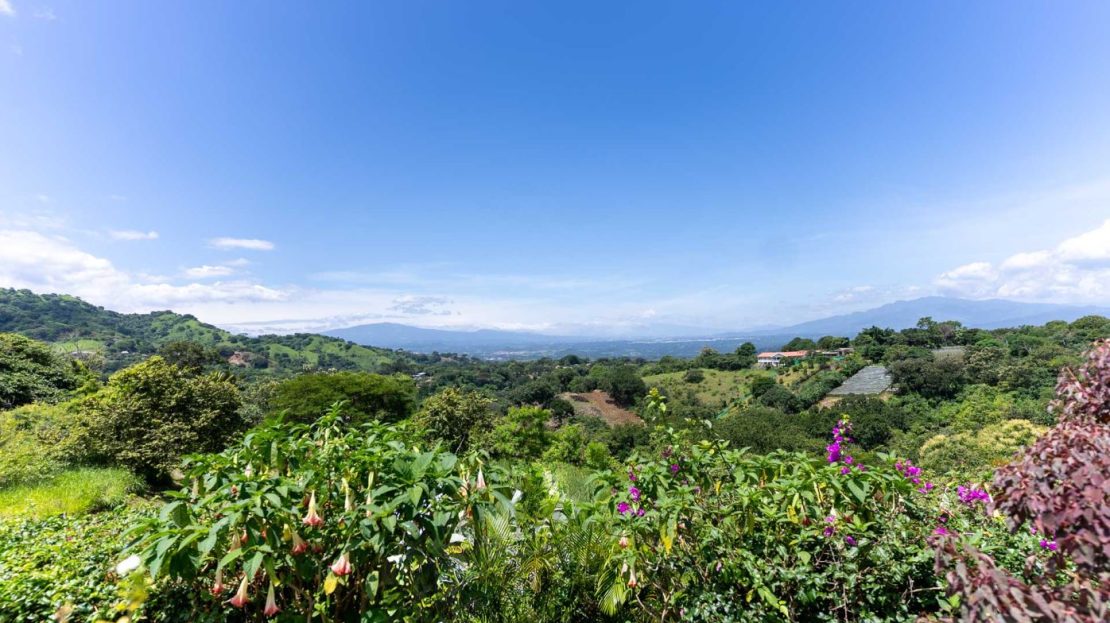 Nicely designed home and guest home in Atenas countryside neighborhood