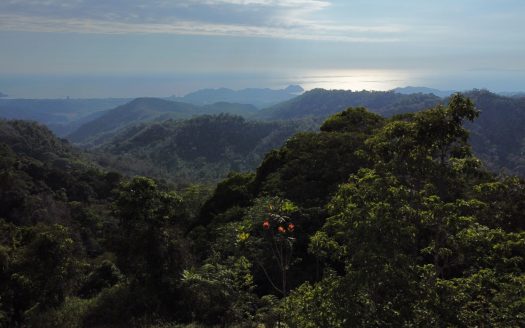Ocean view teak farm with river & waterfalls