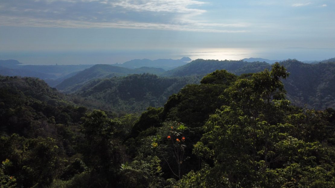 For Sale 54611 | RE/MAX Costa Rica Real Estate