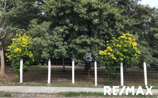 EXTENSIVE COMMERCIAL LAND