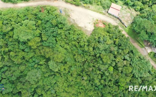 Eco property development