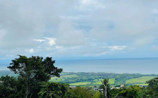 Garabito Central Pacific Costa Rica>Hermosa Beach For Sale 58500 | RE/MAX Costa Rica Real Estate