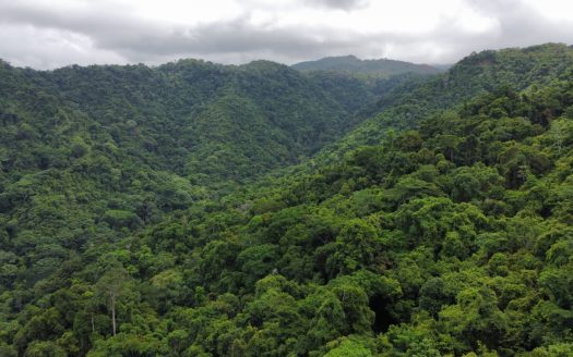 Prime development parcel with the best views in Jaco