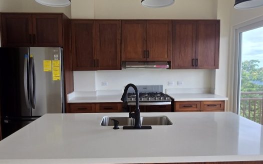 New construction Oceanview