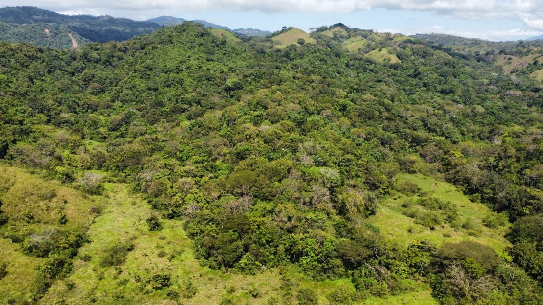 Garabito Central Pacific Costa Rica>Hermosa Beach>Quebrada Amarilla For Sale 62925 | RE/MAX Costa Rica Real Estate