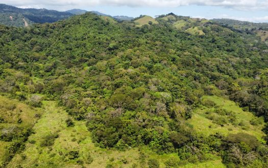 Garabito Central Pacific Costa Rica>Hermosa Beach>Quebrada Amarilla For Sale 62925 | RE/MAX Costa Rica Real Estate