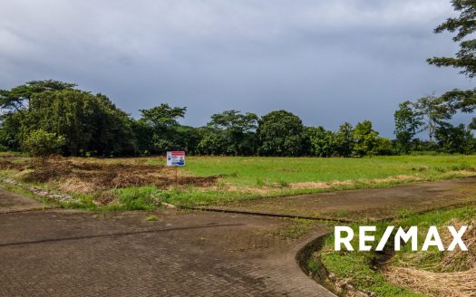 Prime Corner Lot for Sale in Columbus Heights – 9,124 m² Flat Land Perfect for Development
