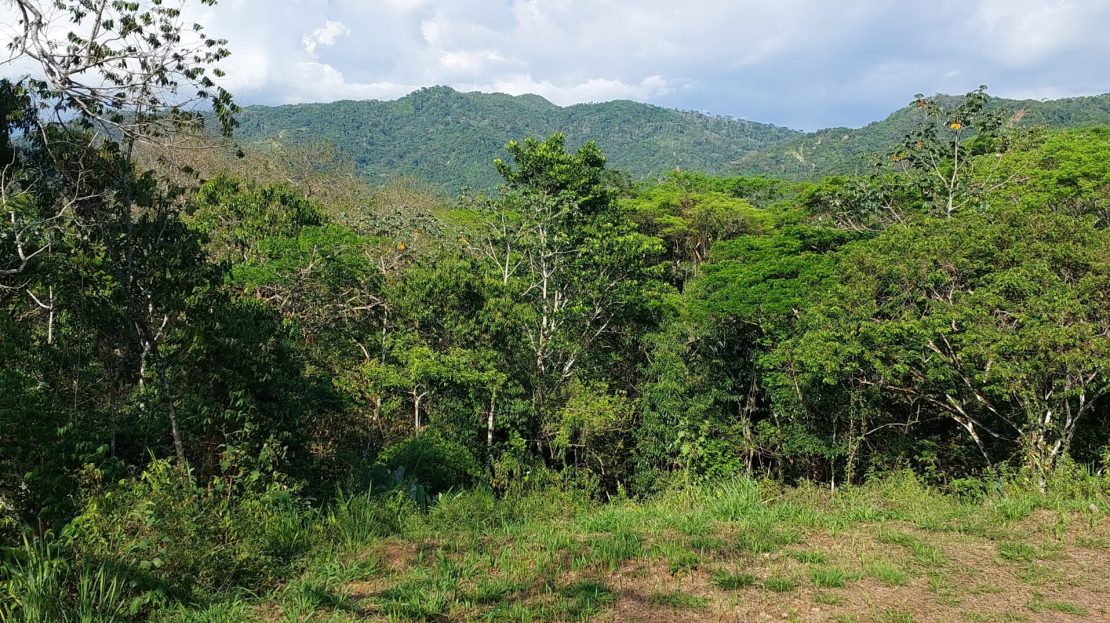 Garabito Central Pacific Costa Rica>Herradura For Sale 52303 | RE/MAX Costa Rica Real Estate