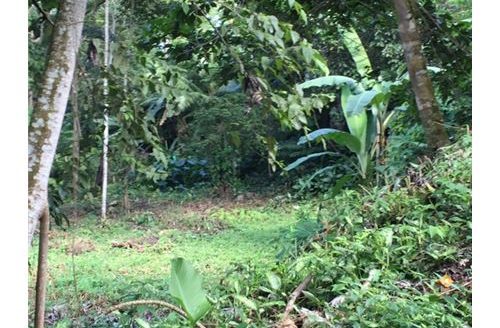 Garabito Central Pacific Costa Rica>Herradura For Sale 73058 | RE/MAX Costa Rica Real Estate