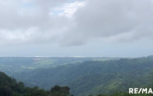 Oceanview Mountain Land