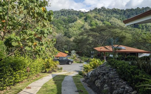 Family Retreat or Tropical Rental Dream: 2 Homes, Pool & Gym on 2 Acres