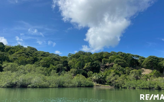 Oceanview Oasis Property