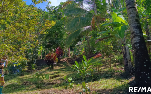 Sunset Vista Golfito