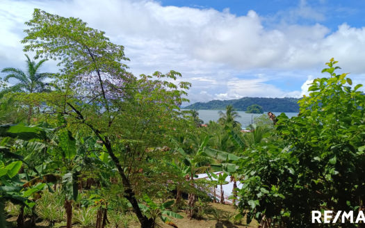 Golfito>Golfito Real Estate Listings 25538