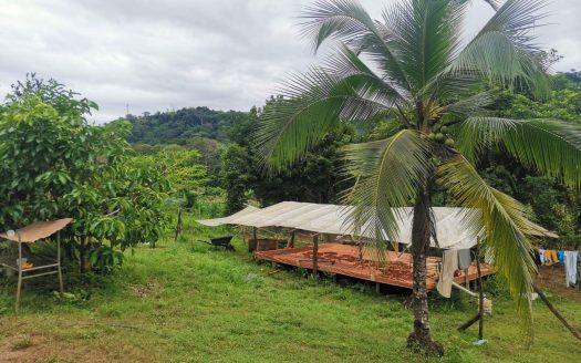 For Sale: 14-Hectare Fertile Farm with Water Springs near Golfito, Costa Rica