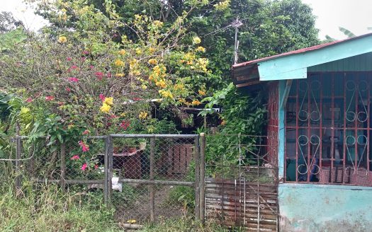 Golfito>Golfito Real Estate Listings 29421