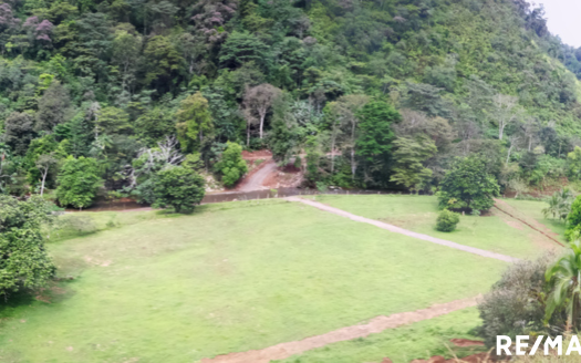 Golfito>Guaycará Real Estate Listings 25312