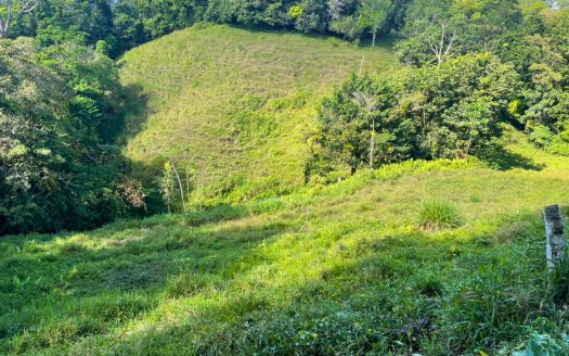 Golfito>Guaycará Real Estate Listings 29320